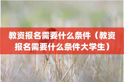教资报名需要什么条件（教资报名需要什么条件大学生）