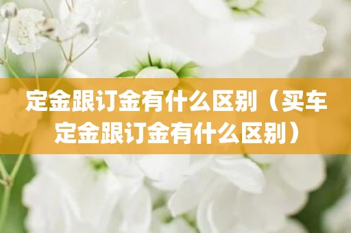 定金跟订金有什么区别（买车定金跟订金有什么区别）