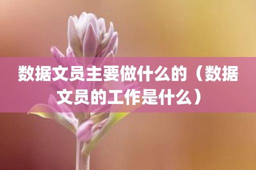 数据文员主要做什么的(数据文员的工作是什么)