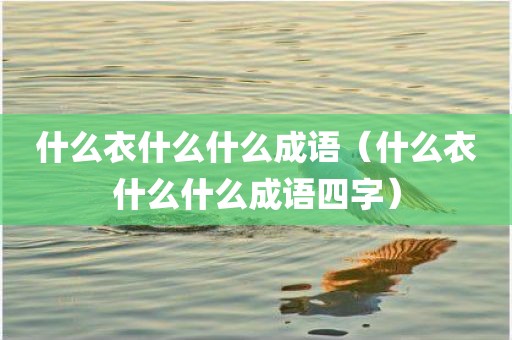 什么衣什么什么成语（什么衣什么什么成语四字）