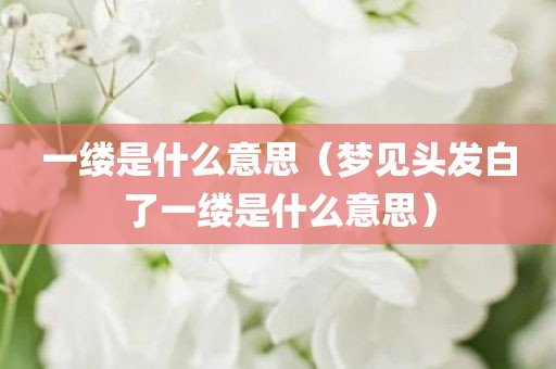一缕是什么意思（梦见头发白了一缕是什么意思）