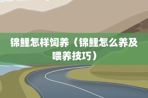 锦鲤怎样饲养（锦鲤怎么养及喂养技巧）