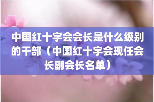 中国红十字会会长是什么级别的干部（中国红十字会现任会长副会长名单）