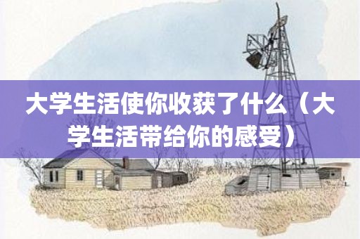 大学生活使你收获了什么（大学生活带给你的感受）