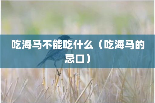 吃海马不能吃什么（吃海马的忌口）