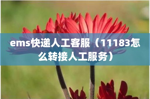 ems快递人工客服(11183怎么转接人工服务)