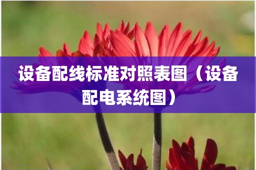设备配线标准对照表图（设备配电系统图）