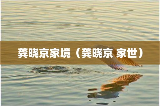 龚晓京家境（龚晓京 家世）
