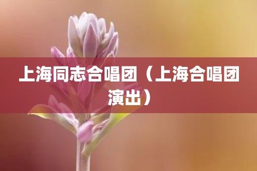 上海同志合唱团（上海合唱团演出）