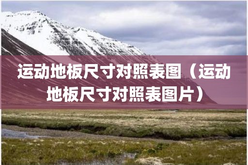 运动地板尺寸对照表图（运动地板尺寸对照表图片）