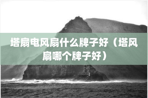 塔扇电风扇什么牌子好（塔风扇哪个牌子好）