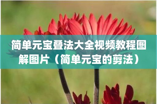 简单元宝叠法大全视频教程图解图片（简单元宝的剪法）