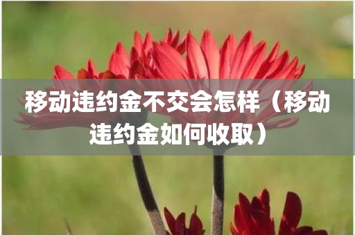 移动违约金不交会怎样（移动违约金如何收取）