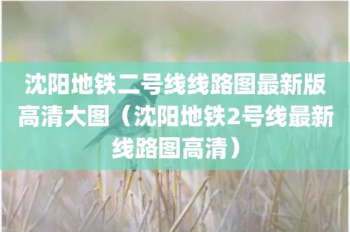 沈阳地铁二号线线路图最新版高清大图（沈阳地铁2号线最新线路图高清）