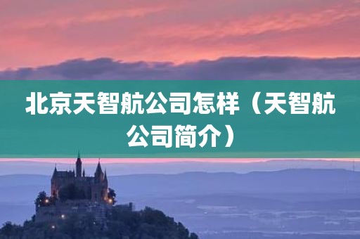 北京天智航公司怎样（天智航公司简介）
