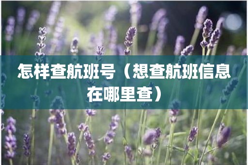 怎样查航班号（想查航班信息在哪里查）
