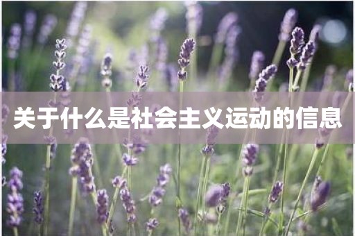 关于什么是社会主义运动的信息