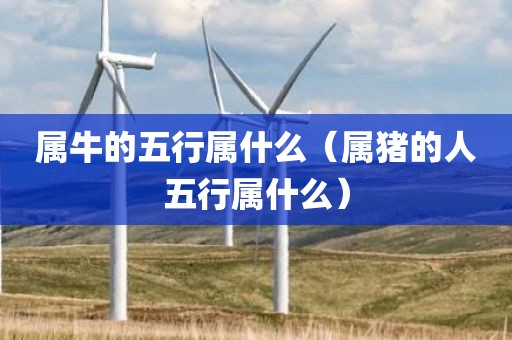 属牛的五行属什么（属猪的人五行属什么）
