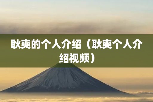 耿爽的个人介绍（耿爽个人介绍视频）