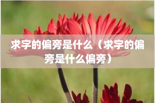 求字的偏旁是什么（求字的偏旁是什么偏旁）
