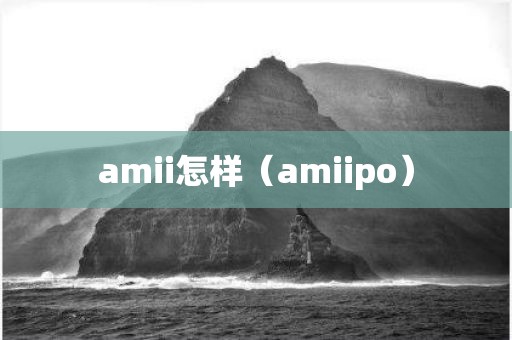 amii怎样（amiipo）