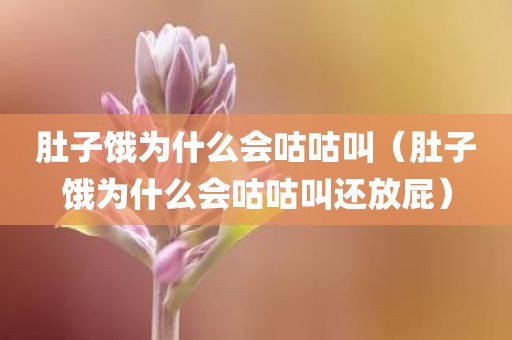 肚子饿为什么会咕咕叫（肚子饿为什么会咕咕叫还放屁）