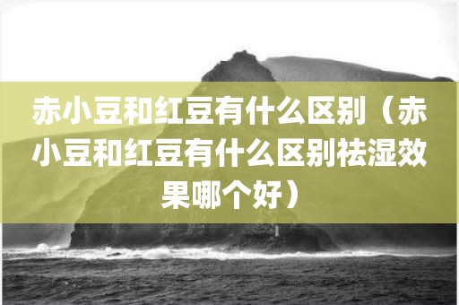 赤小豆和红豆有什么区别（赤小豆和红豆有什么区别祛湿效果哪个好）