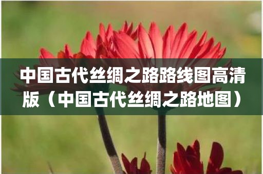 中国古代丝绸之路路线图高清版（中国古代丝绸之路地图）