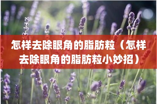 怎样去除眼角的脂肪粒（怎样去除眼角的脂肪粒小妙招）