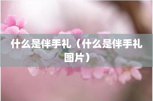 什么是伴手礼(什么是伴手礼图片)