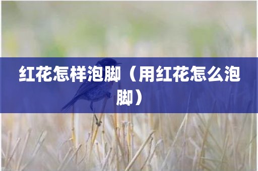 红花怎样泡脚（用红花怎么泡脚）