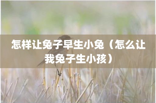 怎样让兔子早生小兔（怎么让我兔子生小孩）