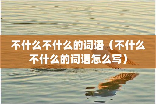 不什么不什么的词语（不什么不什么的词语怎么写）