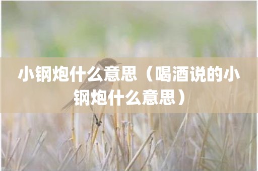 小钢炮什么意思（喝酒说的小钢炮什么意思）