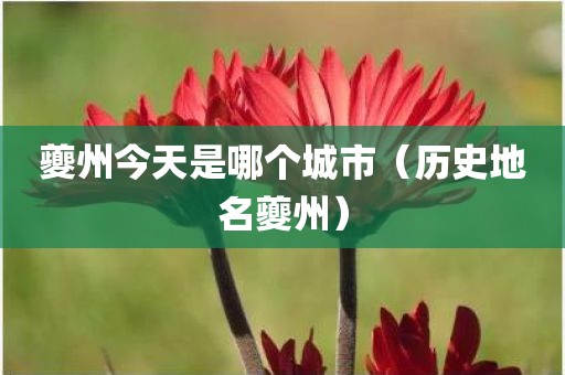 夔州今天是哪个城市（历史地名夔州）