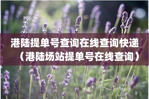 港陆提单号查询在线查询快递（港陆场站提单号在线查询）