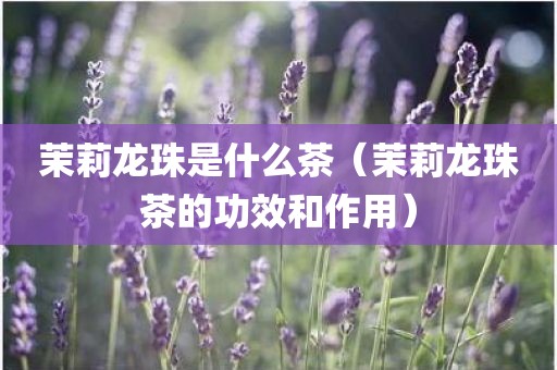 茉莉龙珠是什么茶（茉莉龙珠茶的功效和作用）