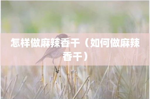 怎样做麻辣香干（如何做麻辣香干）