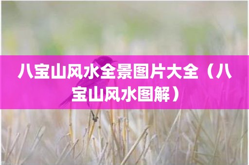 八宝山风水全景图片大全（八宝山风水图解）
