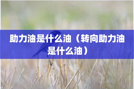 助力油是什么油（转向助力油是什么油）