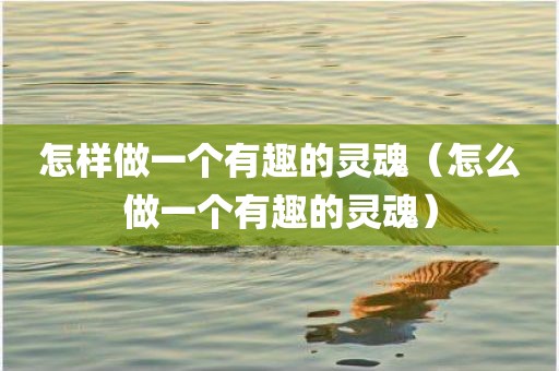怎样做一个有趣的灵魂（怎么做一个有趣的灵魂）