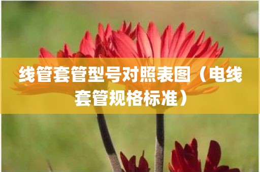 线管套管型号对照表图（电线套管规格标准）