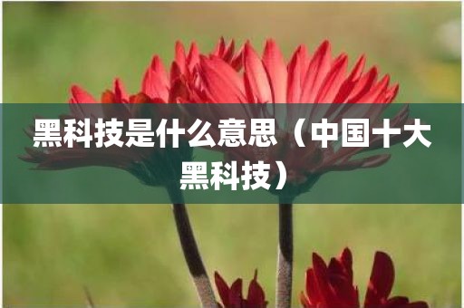 黑科技是什么意思（中国十大黑科技）