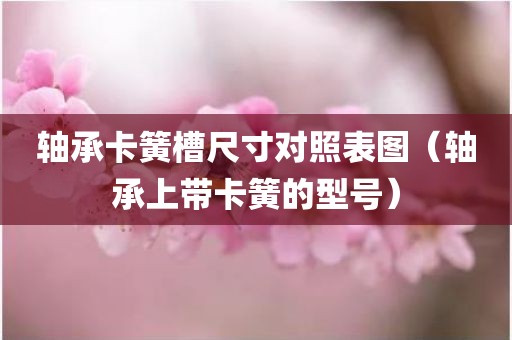 轴承卡簧槽尺寸对照表图（轴承上带卡簧的型号）