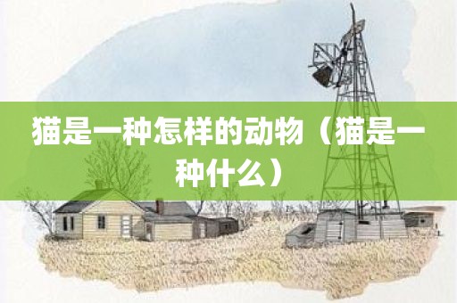 猫是一种怎样的动物（猫是一种什么）