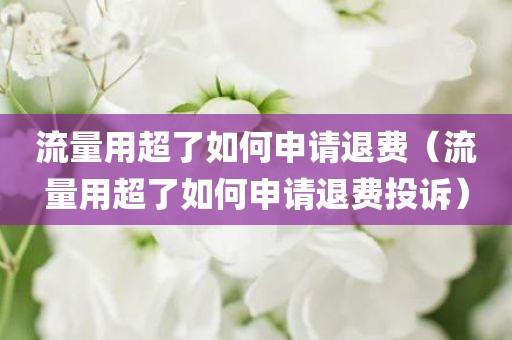 流量用超了如何申请退费（流量用超了如何申请退费投诉）