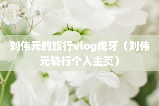 刘伟元的旅行vlog虎牙（刘伟元骑行个人主页）
