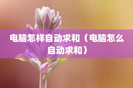 电脑怎样自动求和（电脑怎么自动求和）