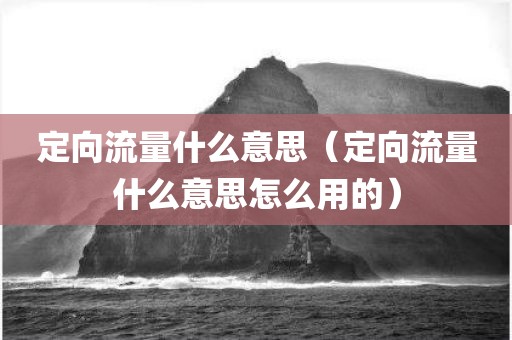 定向流量什么意思（定向流量什么意思怎么用的）