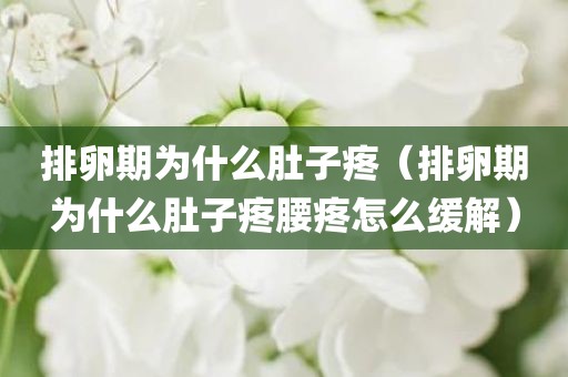 排卵期为什么肚子疼（排卵期为什么肚子疼腰疼怎么缓解）